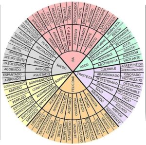 Rueda en plan gráfico de tarta que contiene muchas emociones