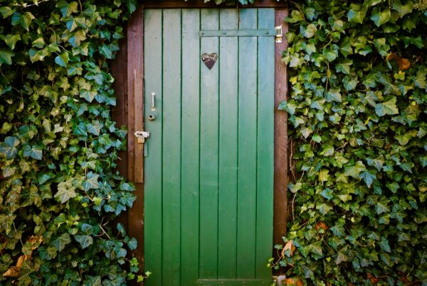 Puerta verde de madera rodeada por plantas trepadoras que cubren las paredes