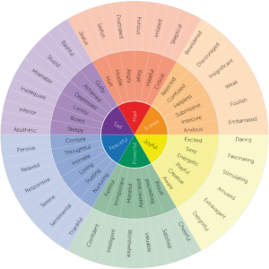 Rueda de distintos colores que representan emociones básicas en el centro  y  con más emociones complejas hacia los lados externos.